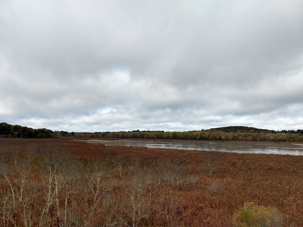 Birdwatching Paradise