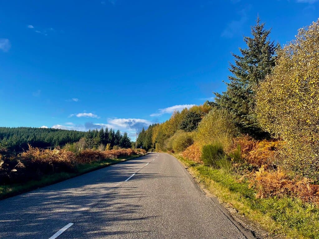 “It’s your road - and yours alone. Others may walk it with you, but no-one can walk it for you. “ - Rumi