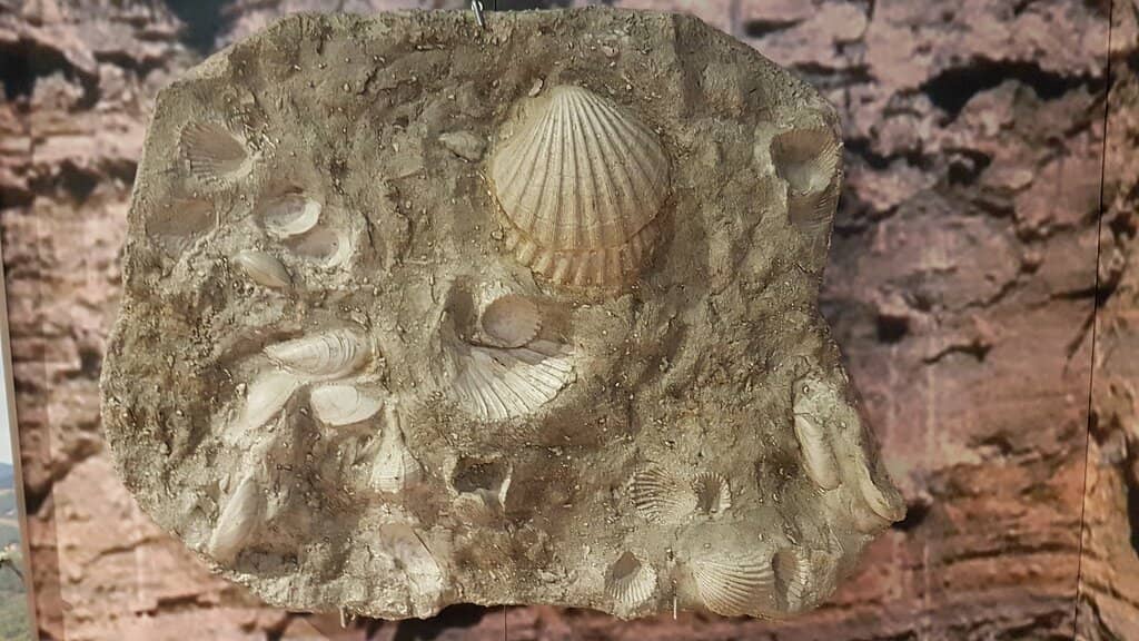 Global Geological Finds