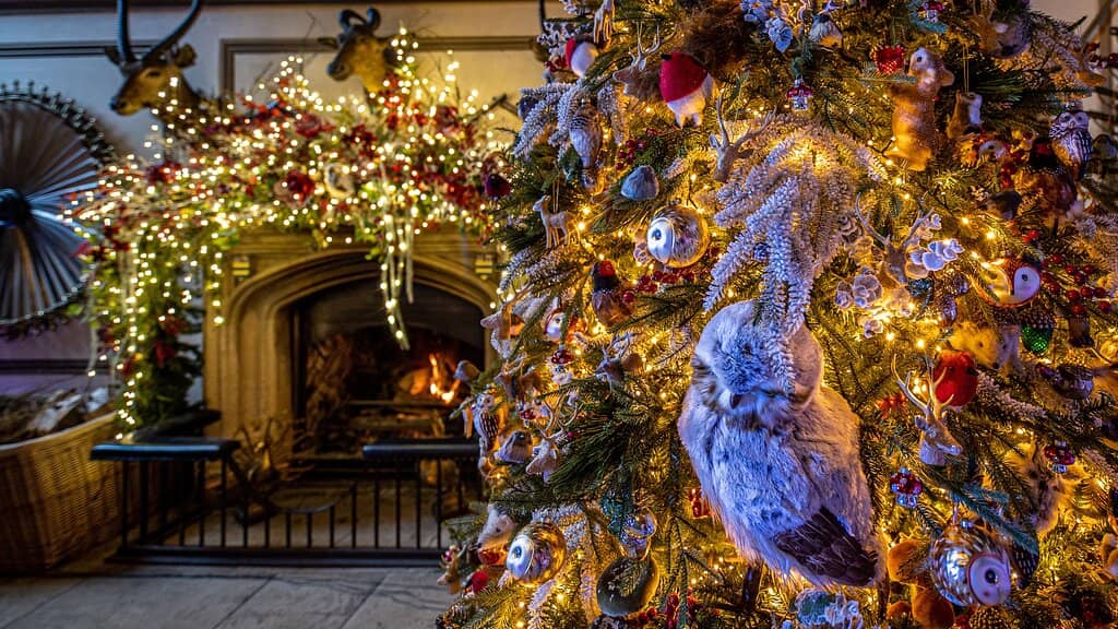 Regency & Gothic Architecture