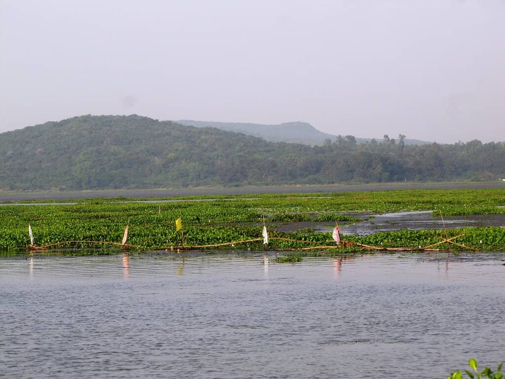 Scenic Picnic Spots