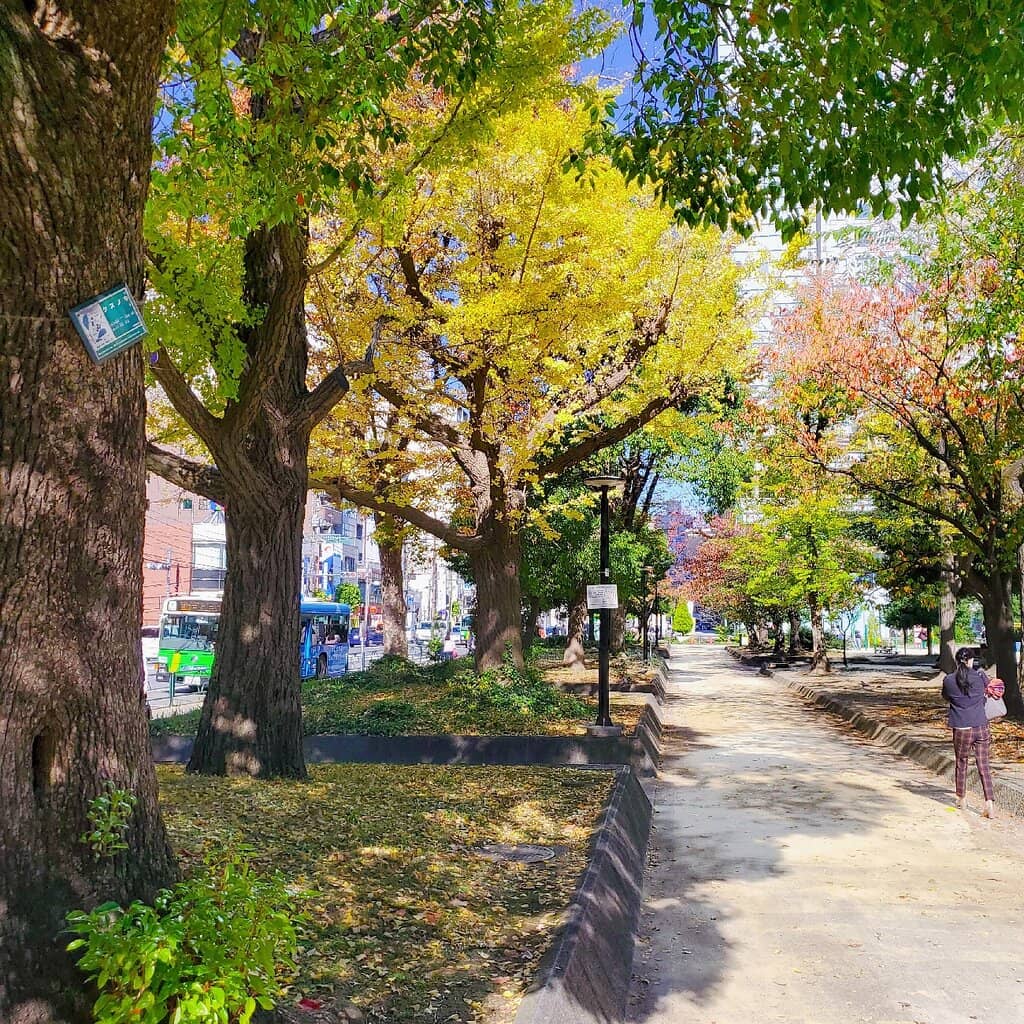 Family Fun & Playgrounds