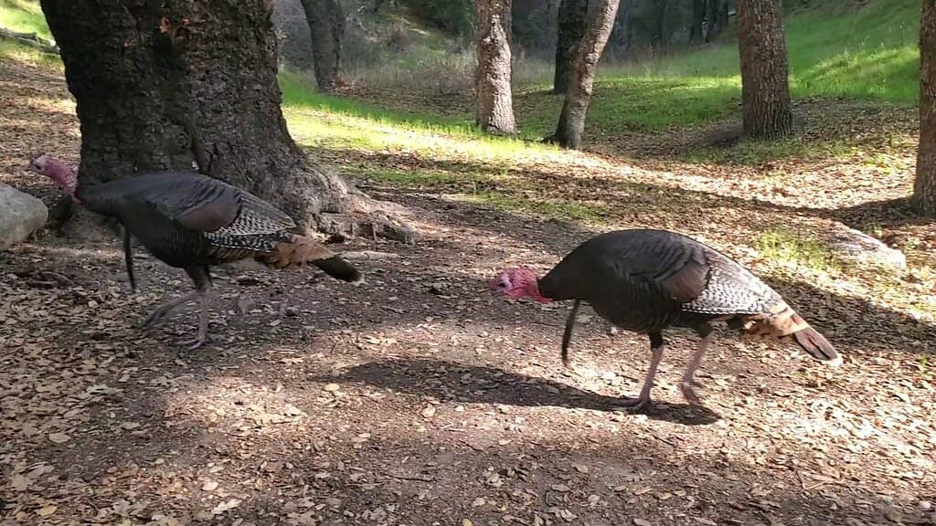 Marina Store & Eatery