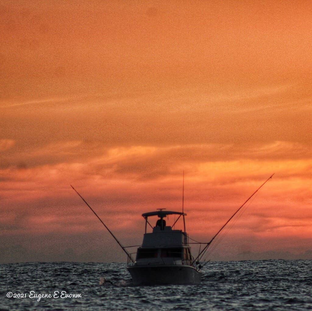 Harbor Activity & Sunsets