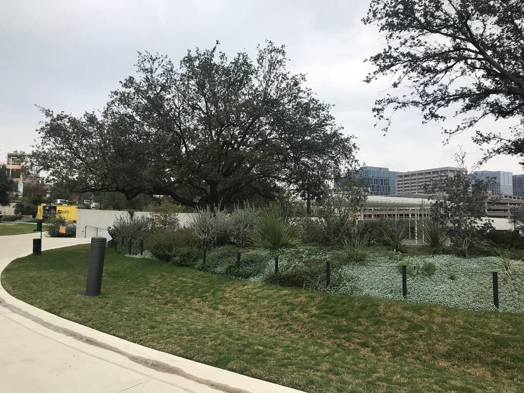 Picnic Spots & Grassy Fields