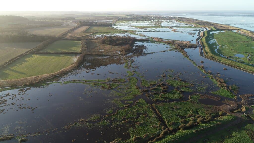 The freshwater marshes at Wild Ken Hill at dusk. The marshes run right up to the coast.