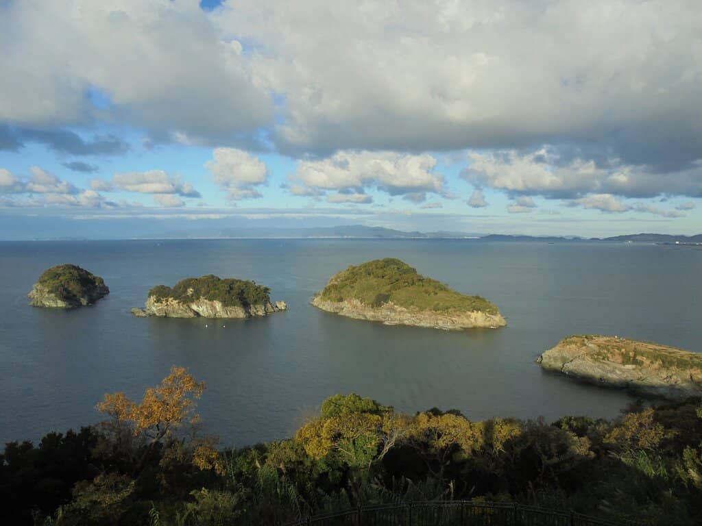 Moonlit Ocean Reflection
