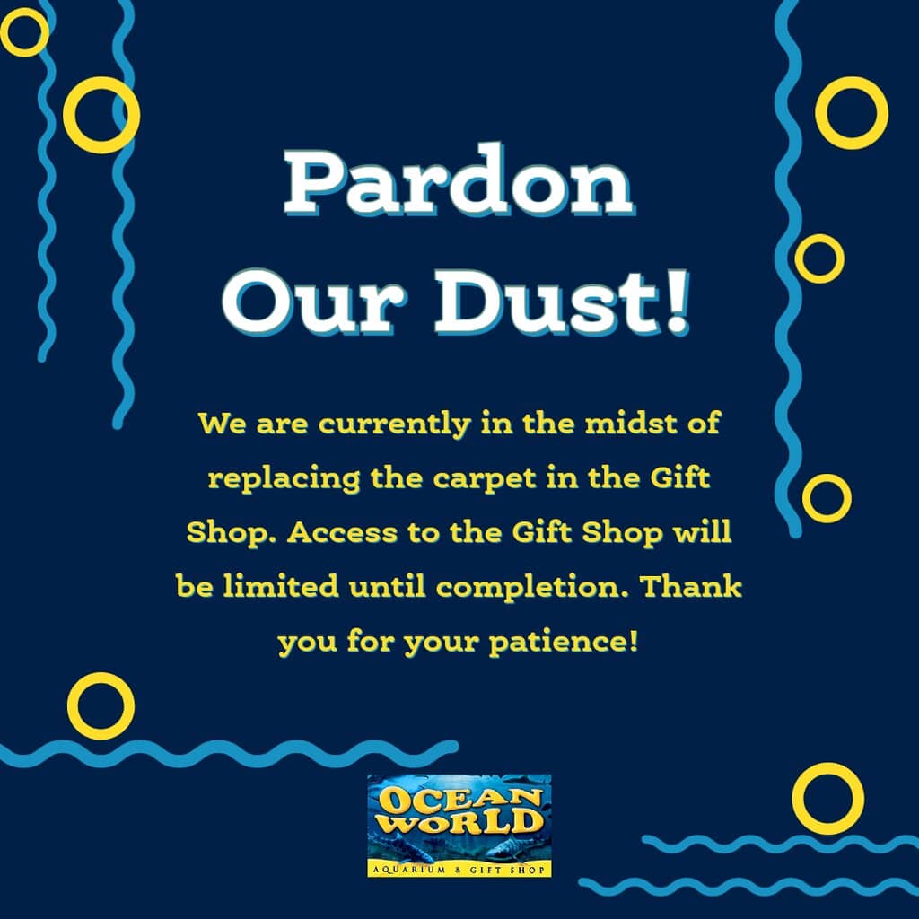 Tide Pool Touch Tank