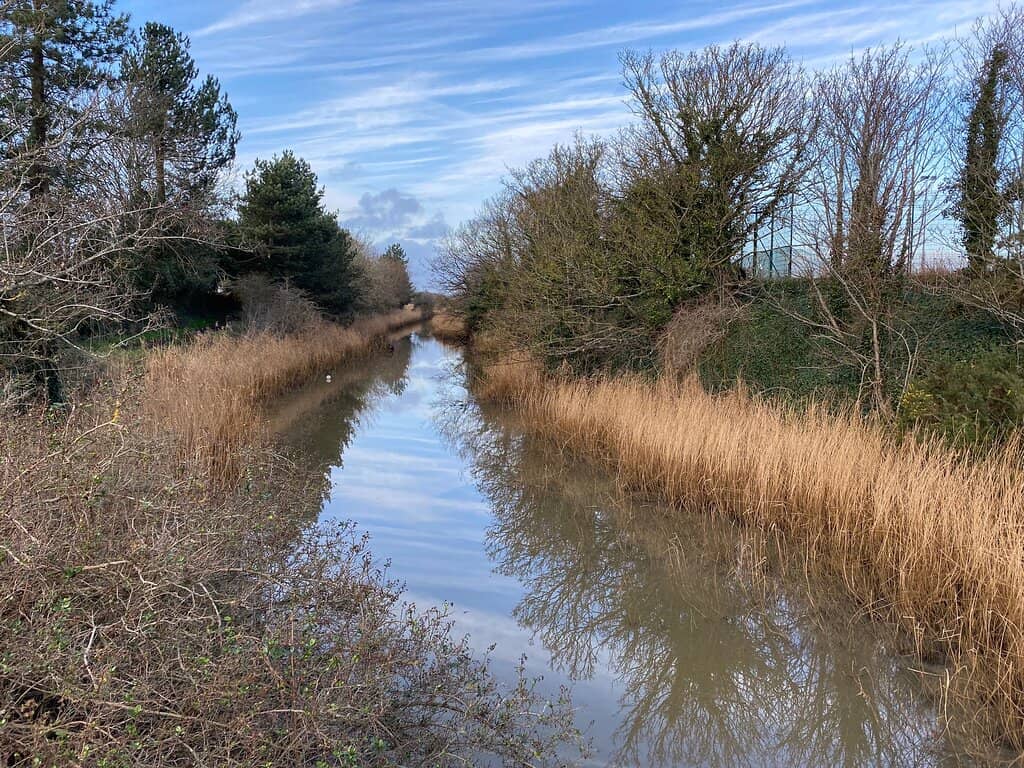 Scenic Walking Trails