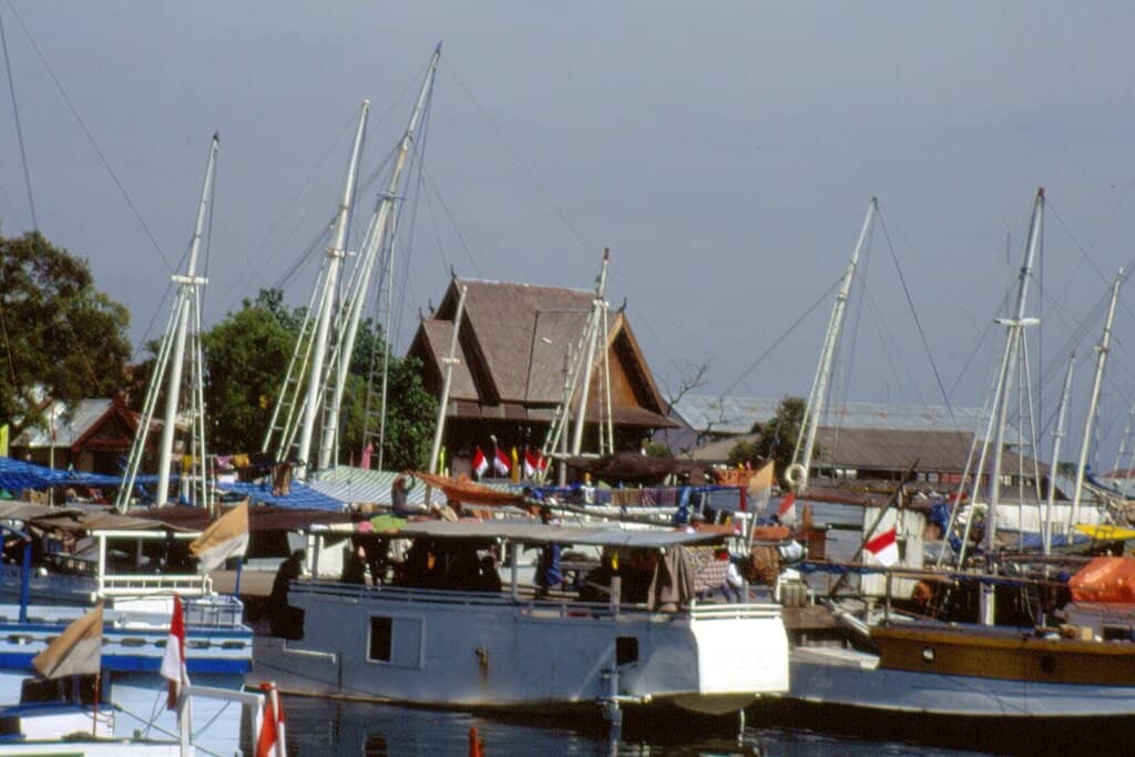 Bustling Fish Market