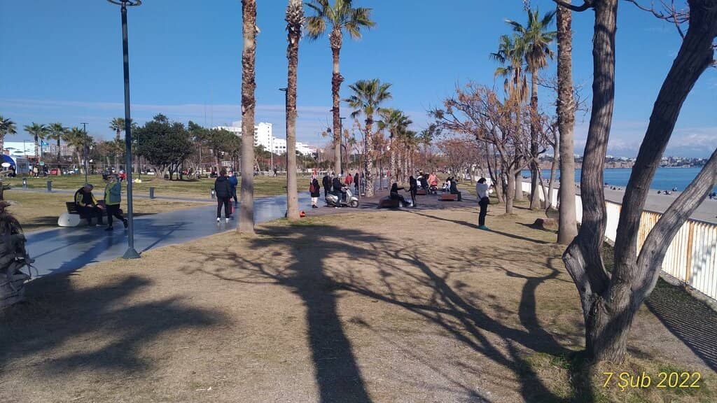 Beach Clubs & Amenities