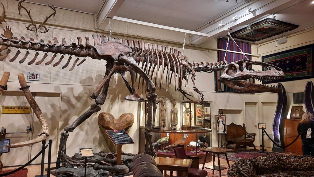 Dinosaur