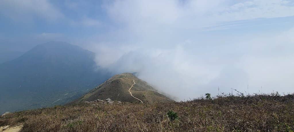 Giant Buddha Views