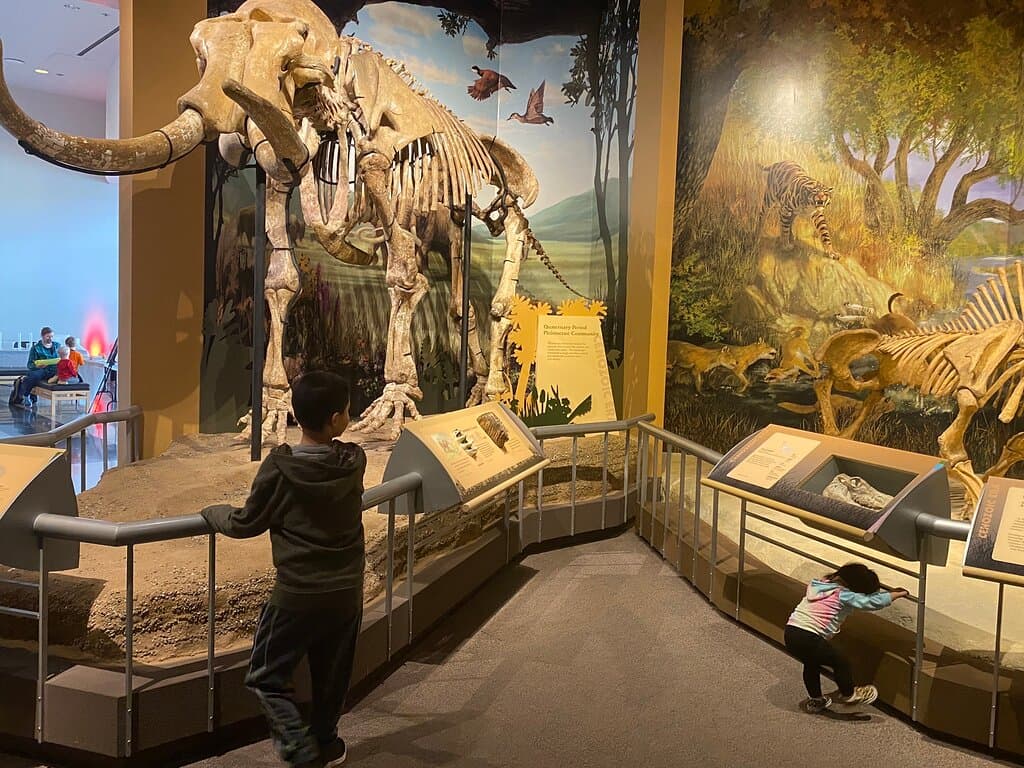 Sam Noble Museum of Natural History Norman