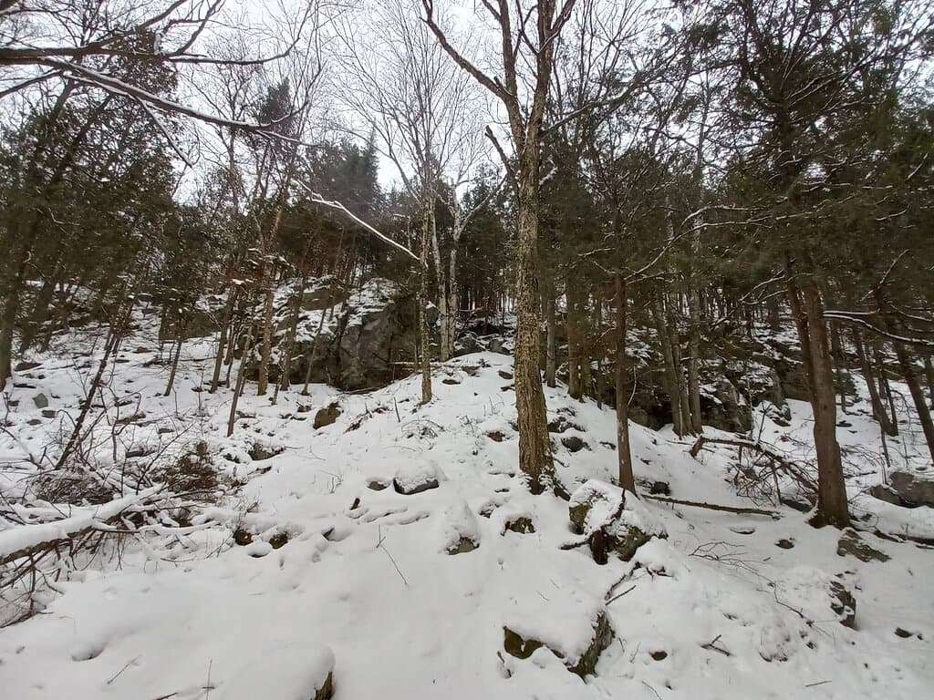 Barnum Creek Nature Reserve