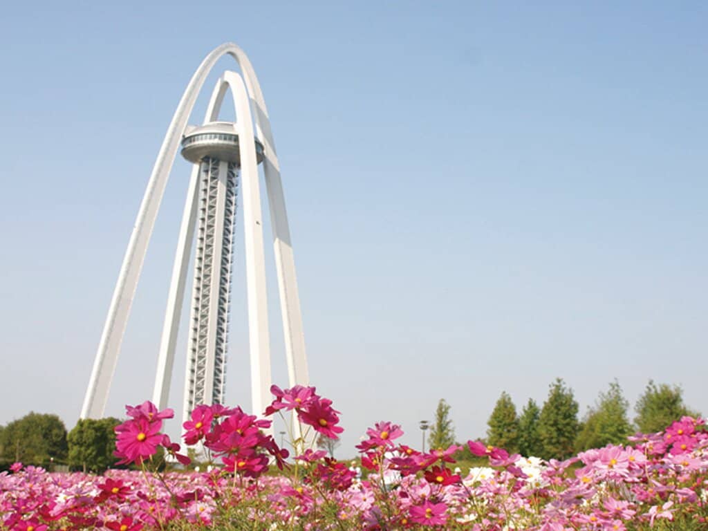 Aquarium Exploration