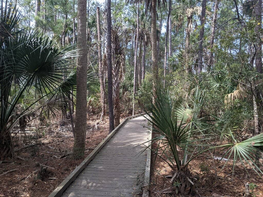 Extensive Trail System
