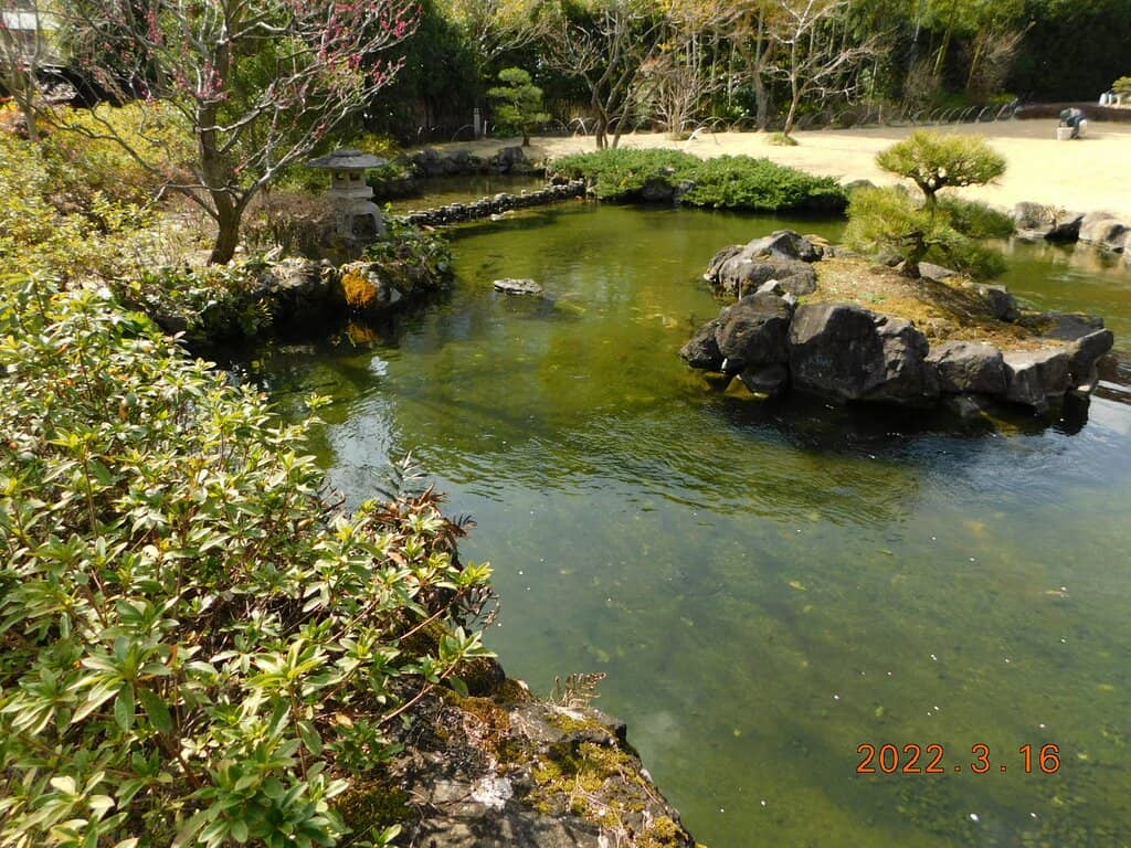 Traditional Tea House