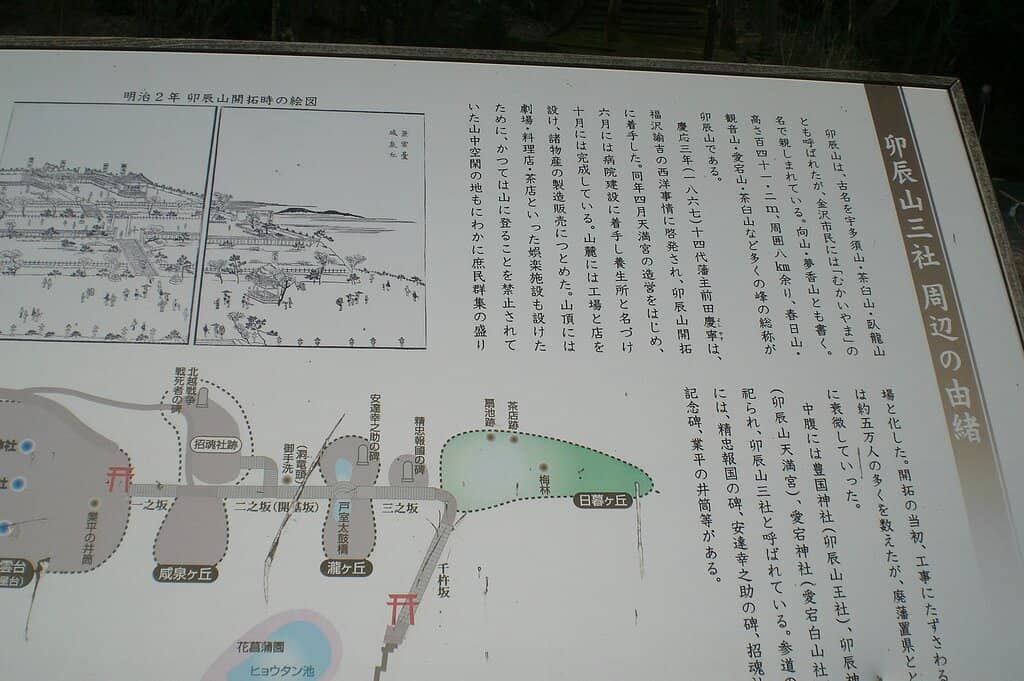 Seasonal Flower Gardens