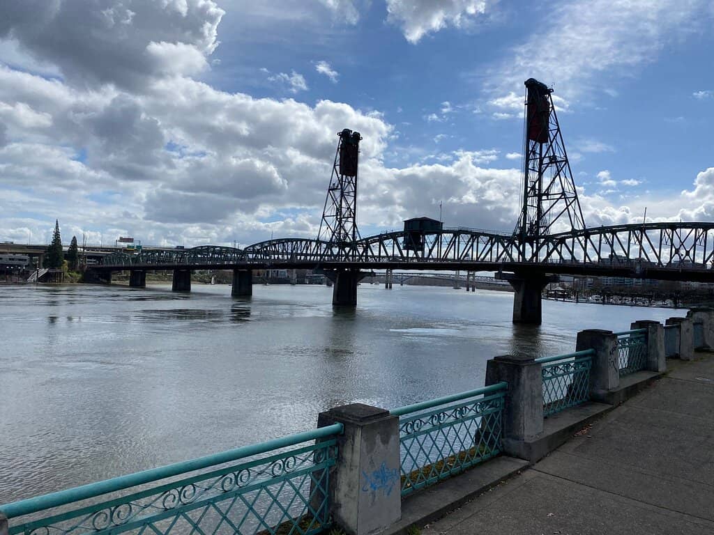 Cherry Blossom Tunnel