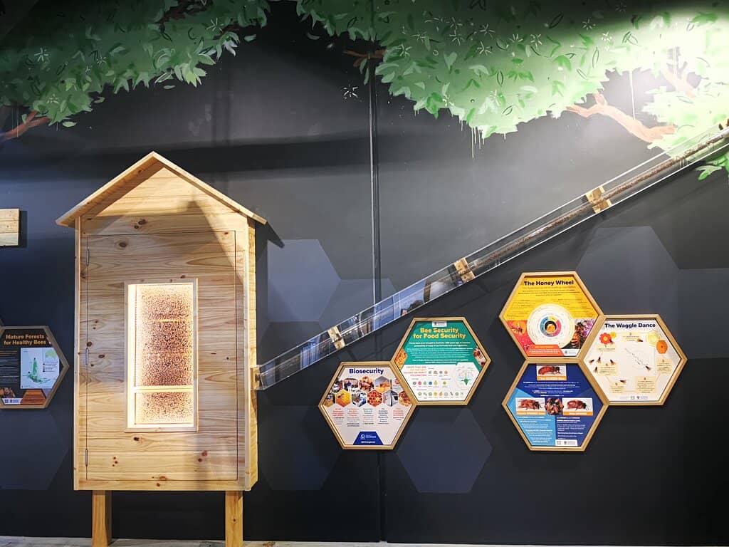 Indoor Playground
