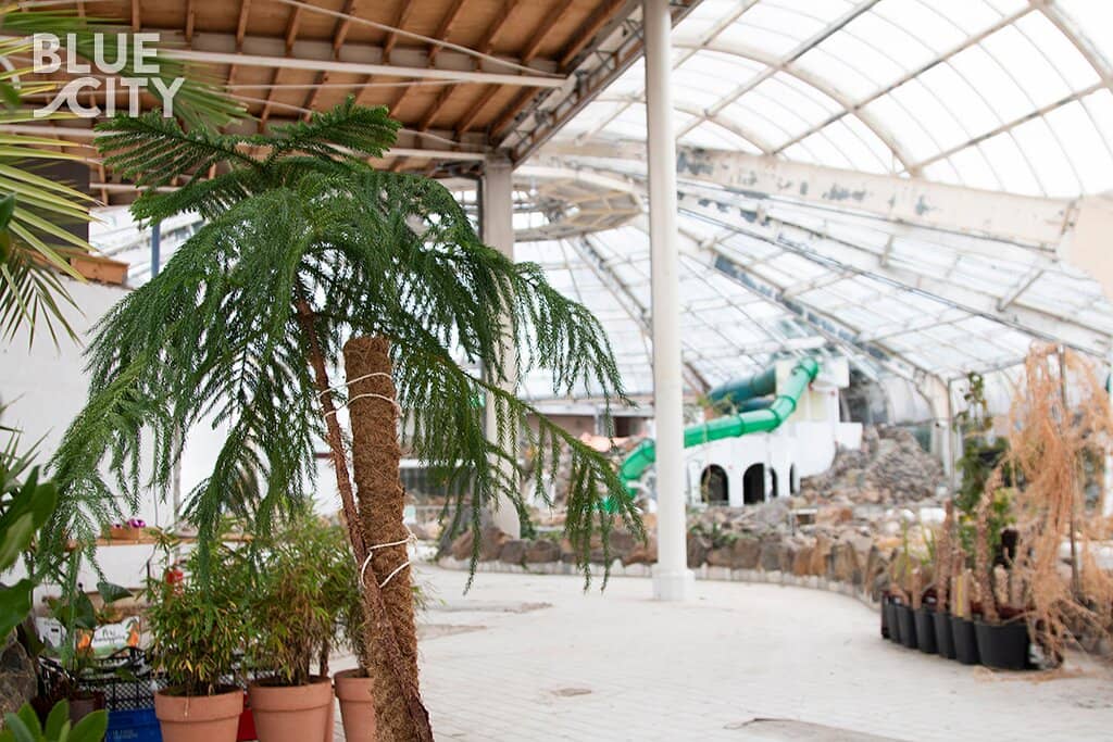 Circular Economy Initiatives