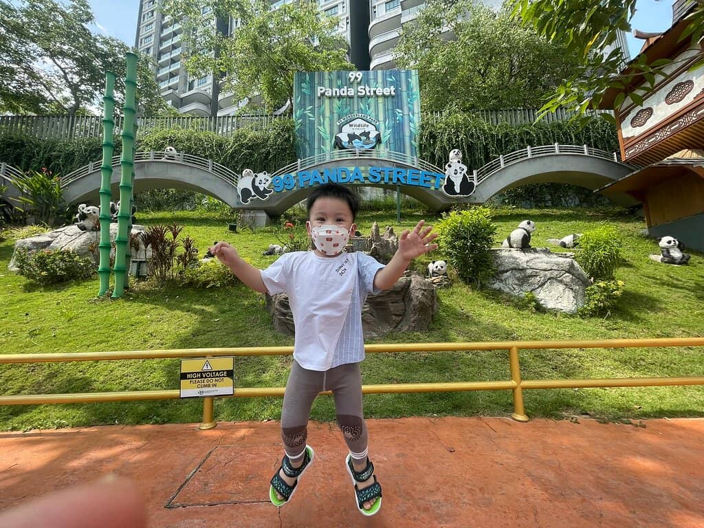 Vertical photo