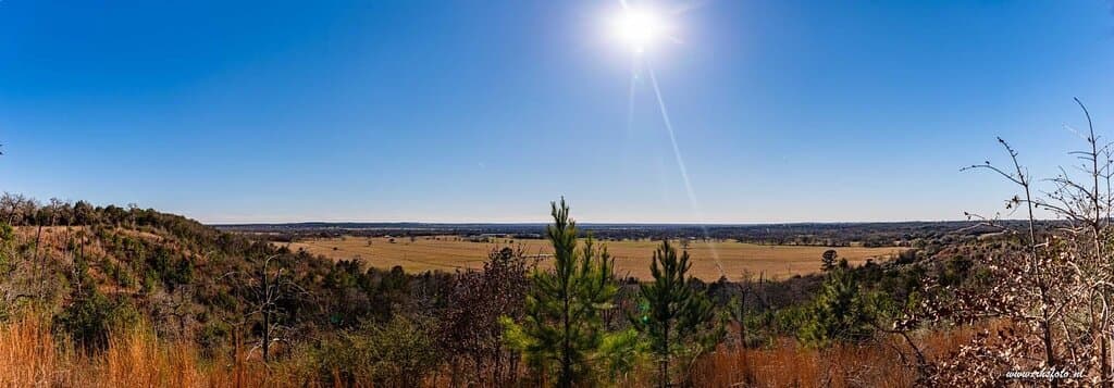 Viewpoint in the park