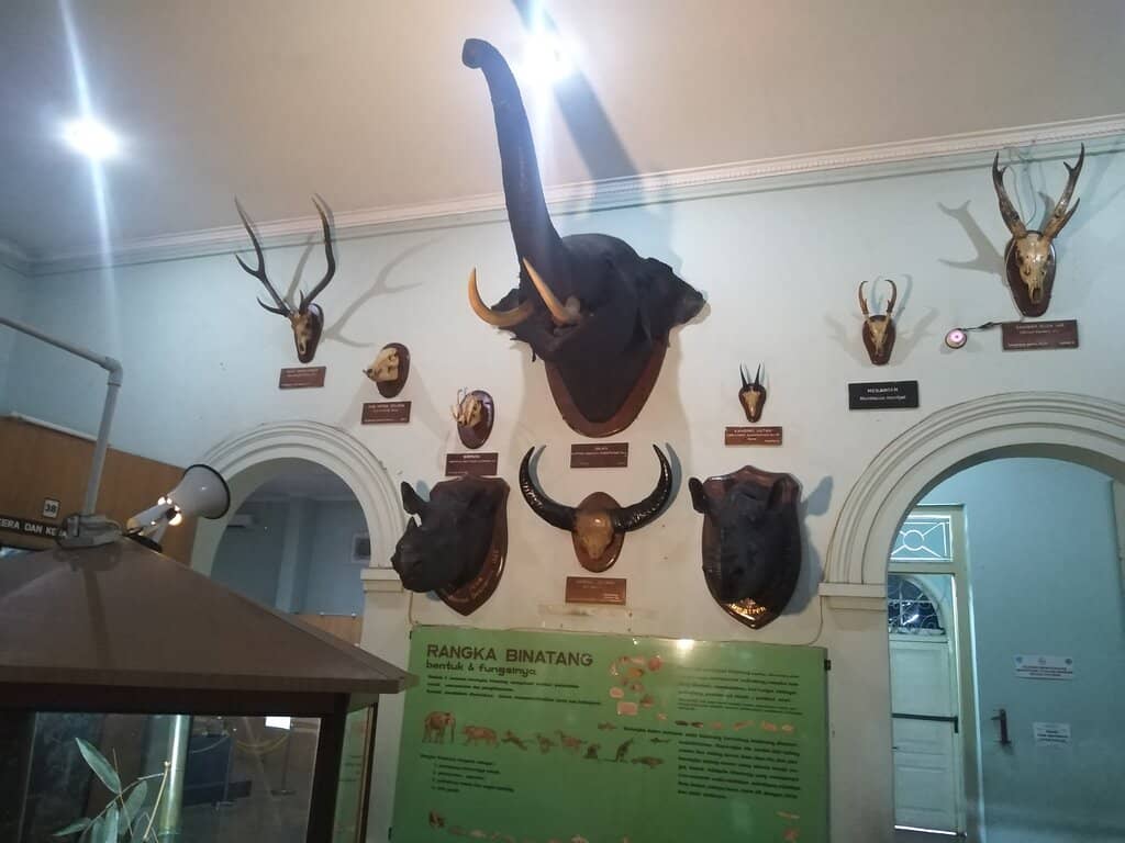 Educational Displays