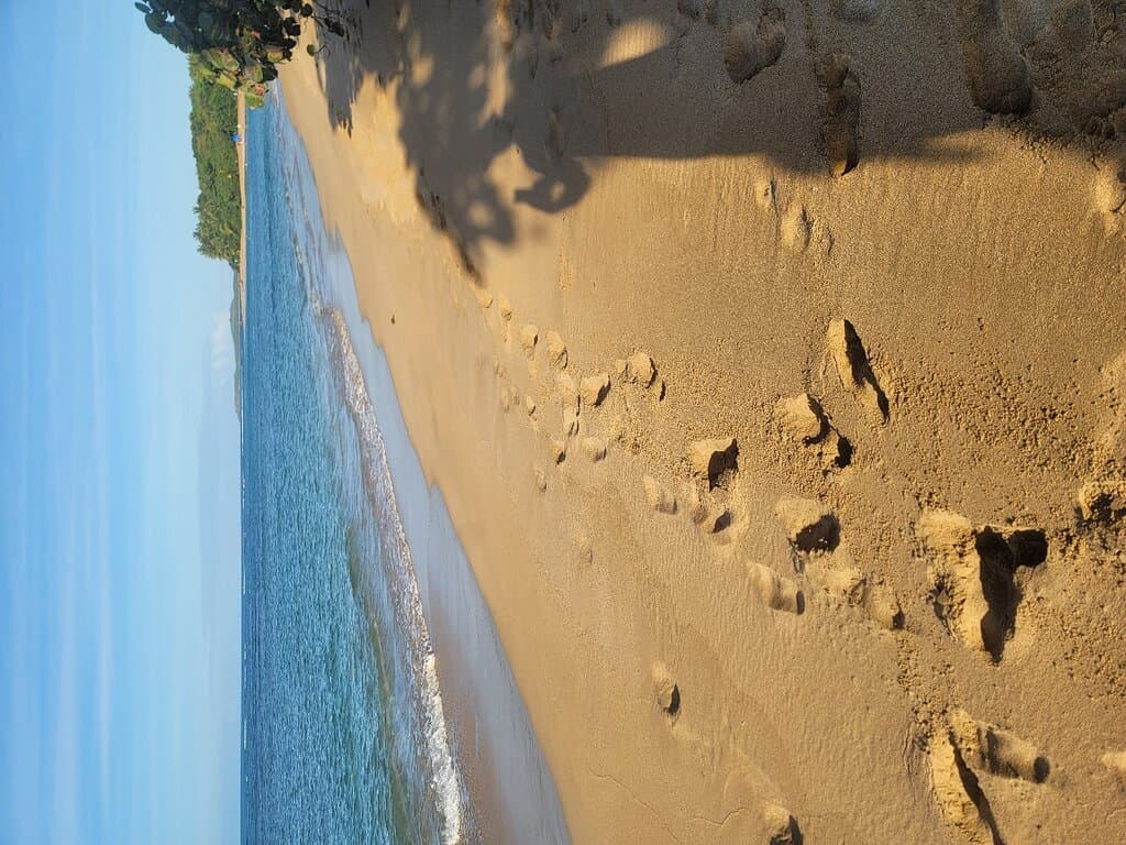Playa San Miguel
