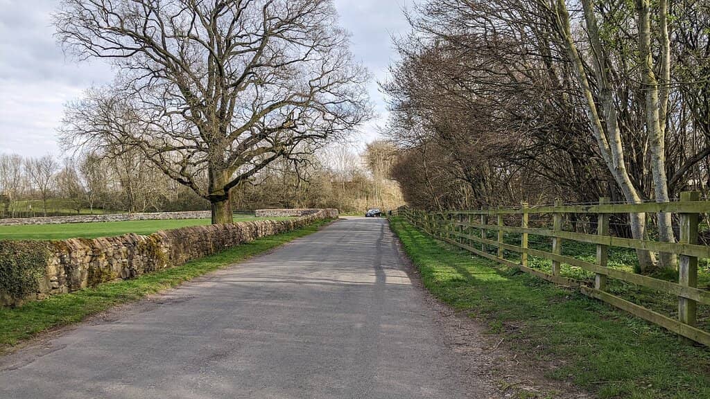 The Central Standing Stone