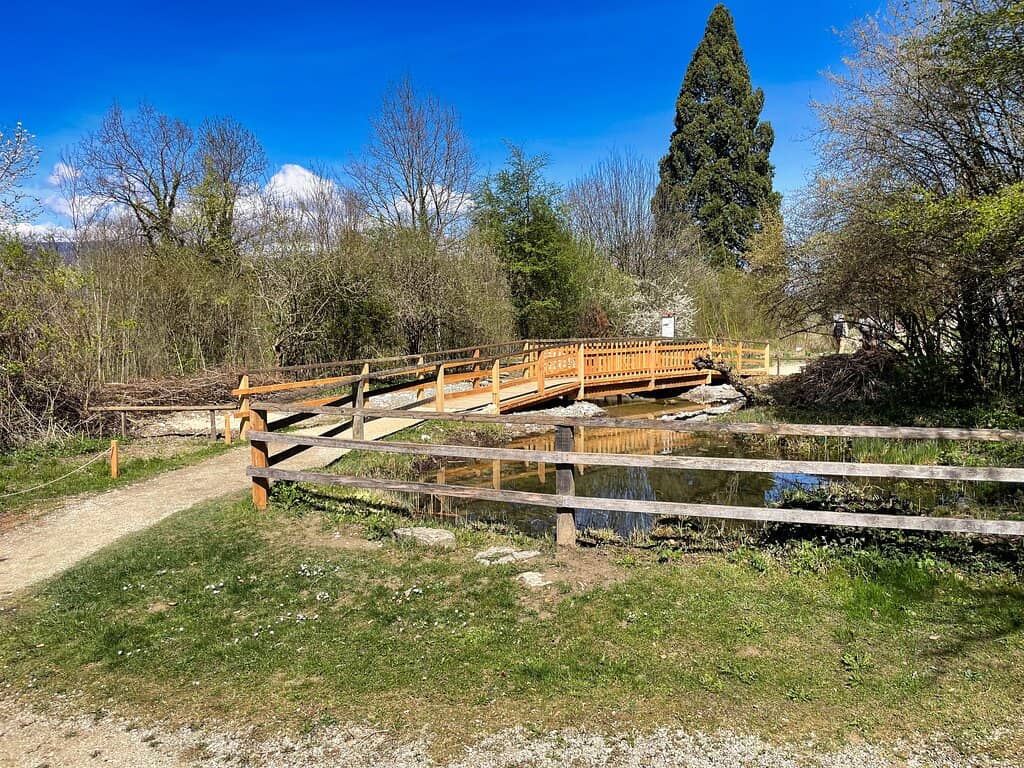 Bird Observation Points