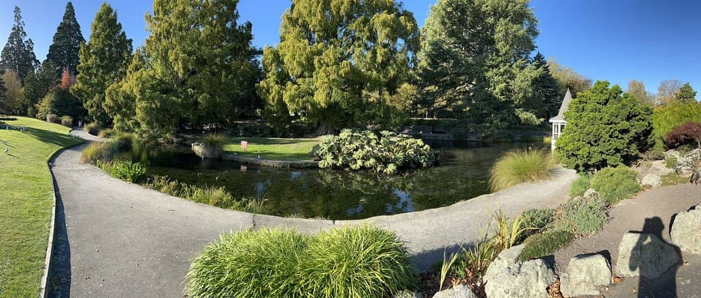 The Serene Stream and Paths