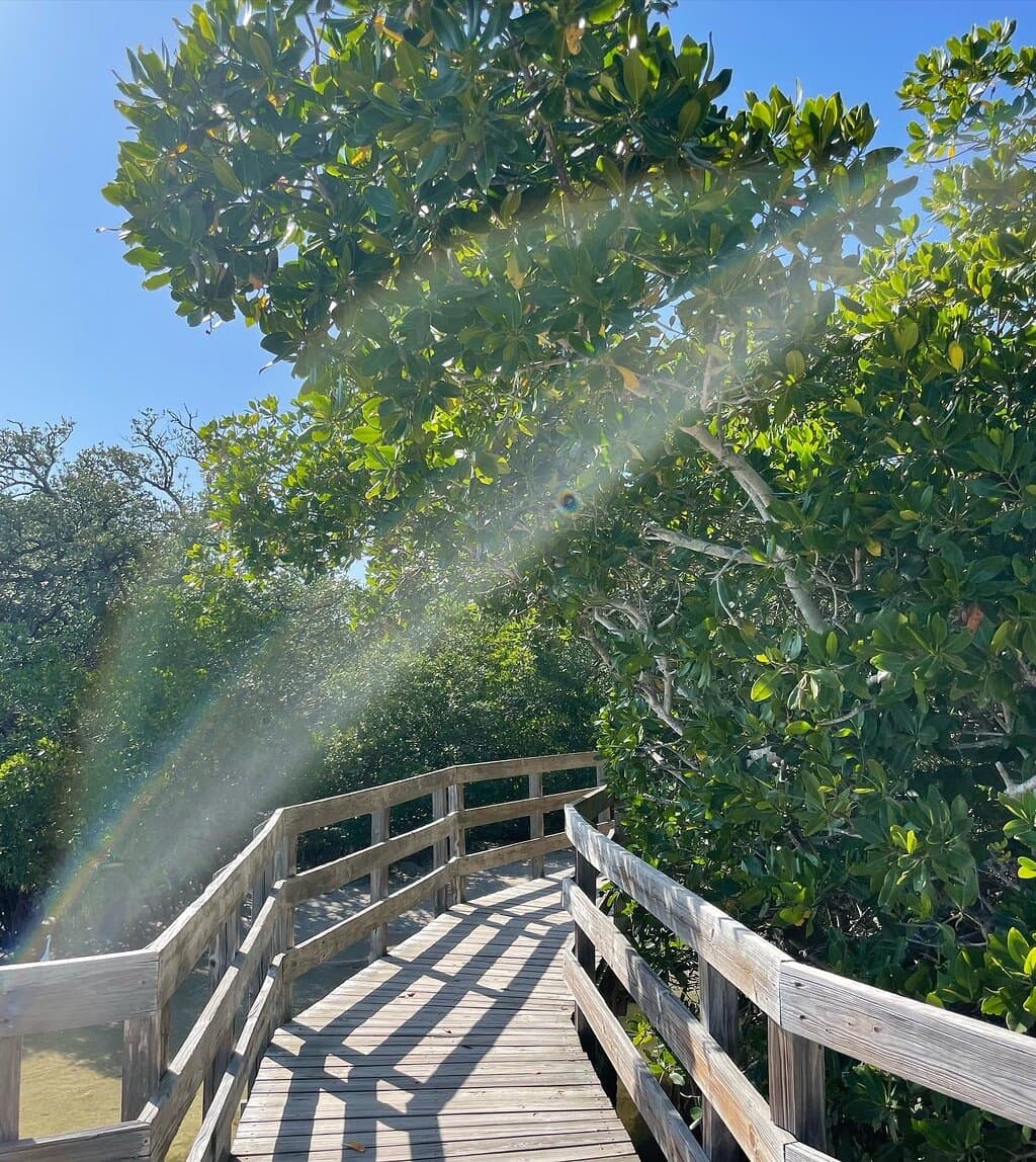 Leffis Key Preserve