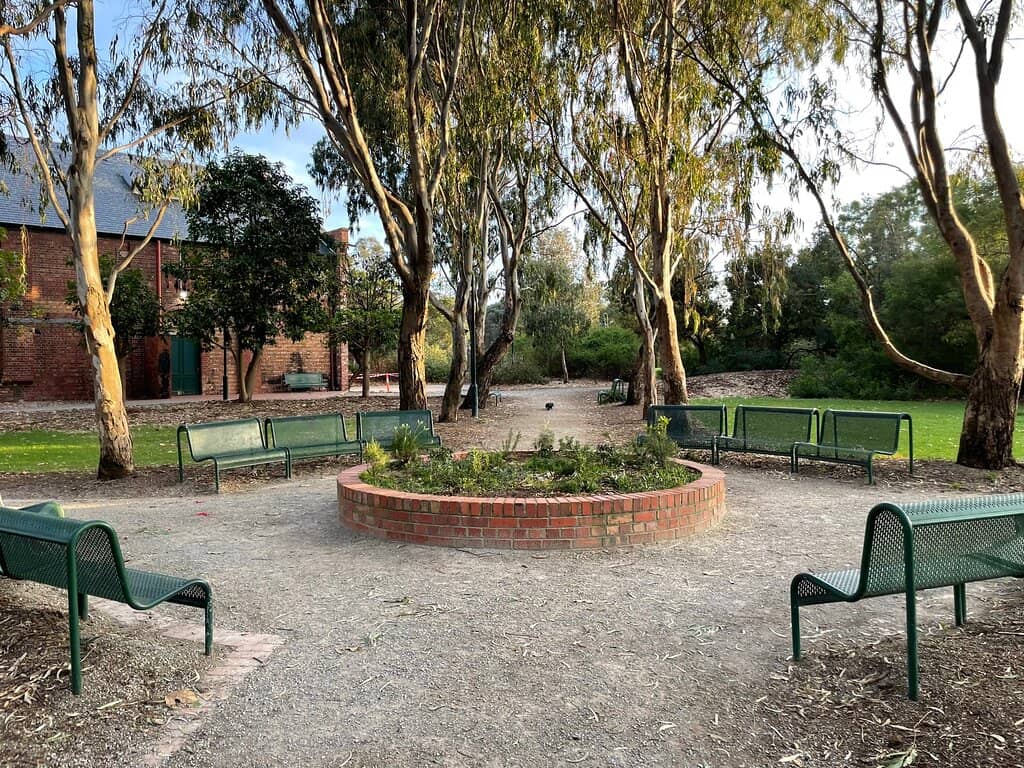 Dog-Friendly Park