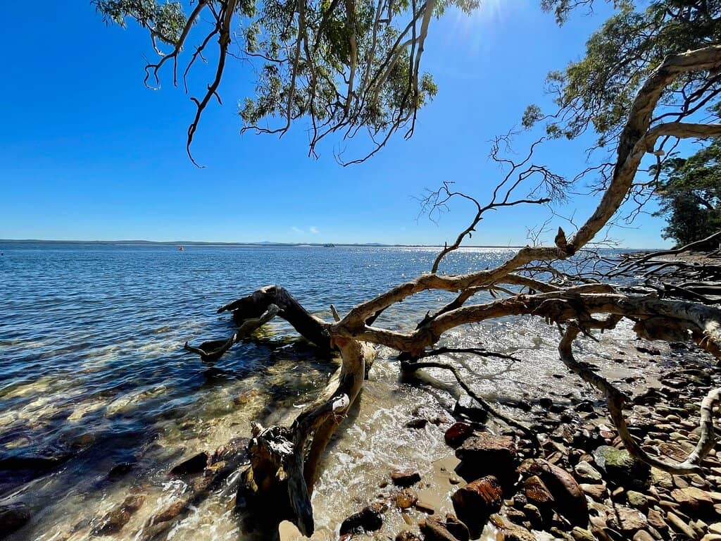 Tomaree Head Summit