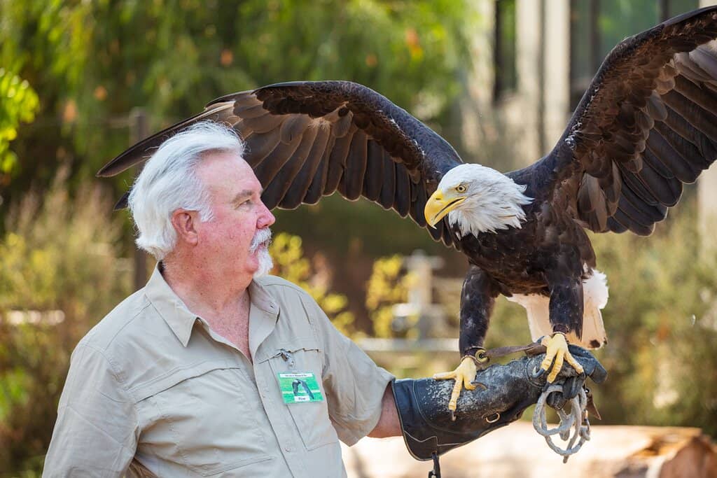 Miniature Zoo Encounters