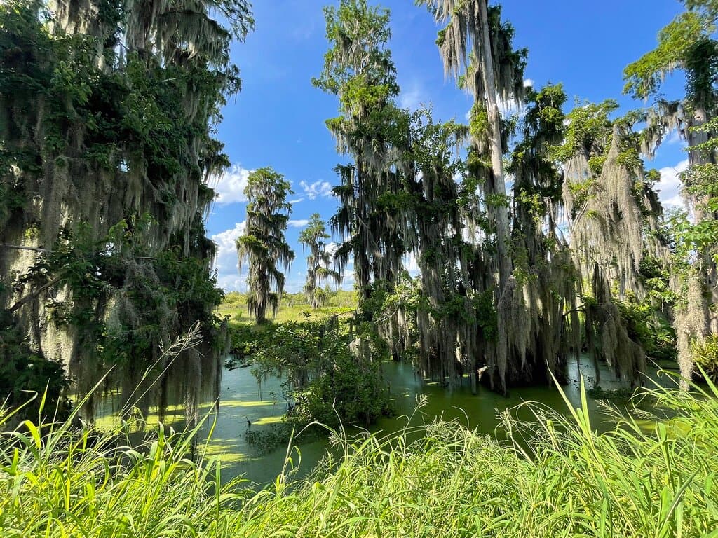 Prachtig park