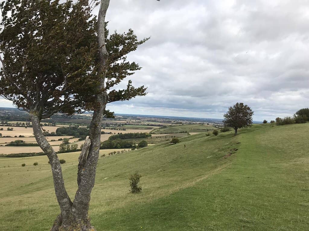 Encountering Livestock