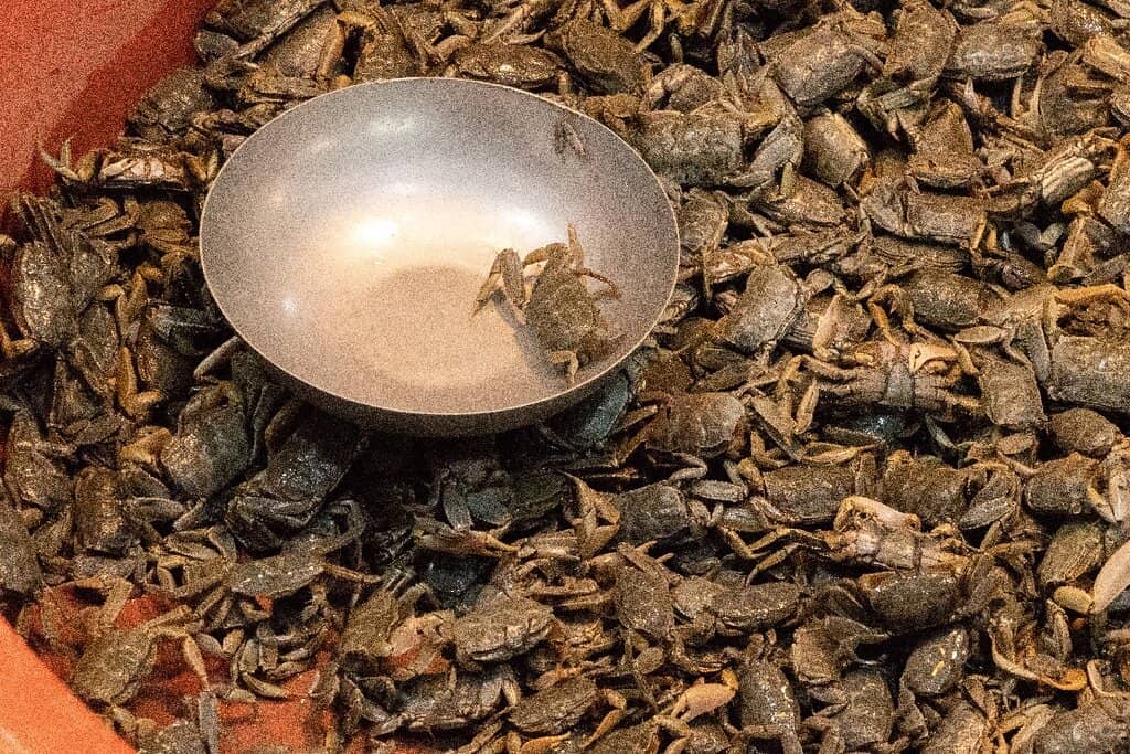 Fresh Seafood & Produce