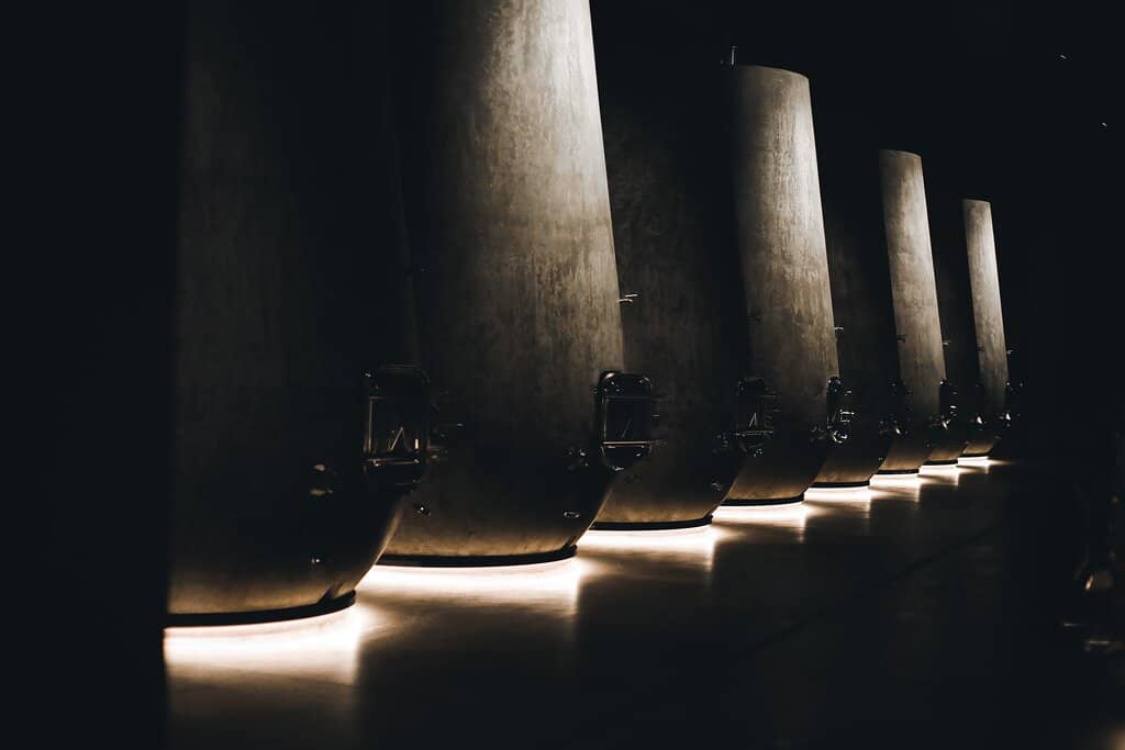 Insightful Winery Tour