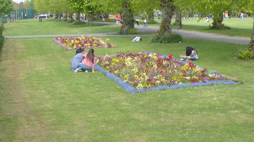 Splash Zone & Boating Pond