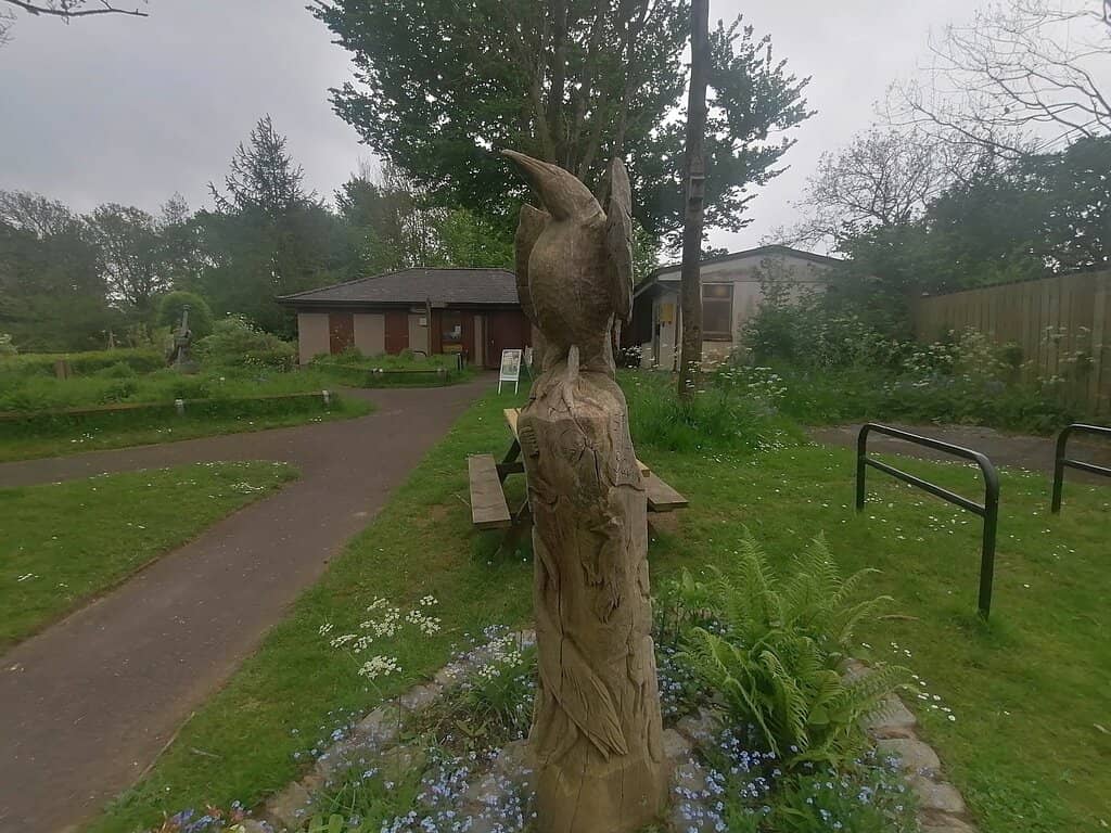 Children's Play Area