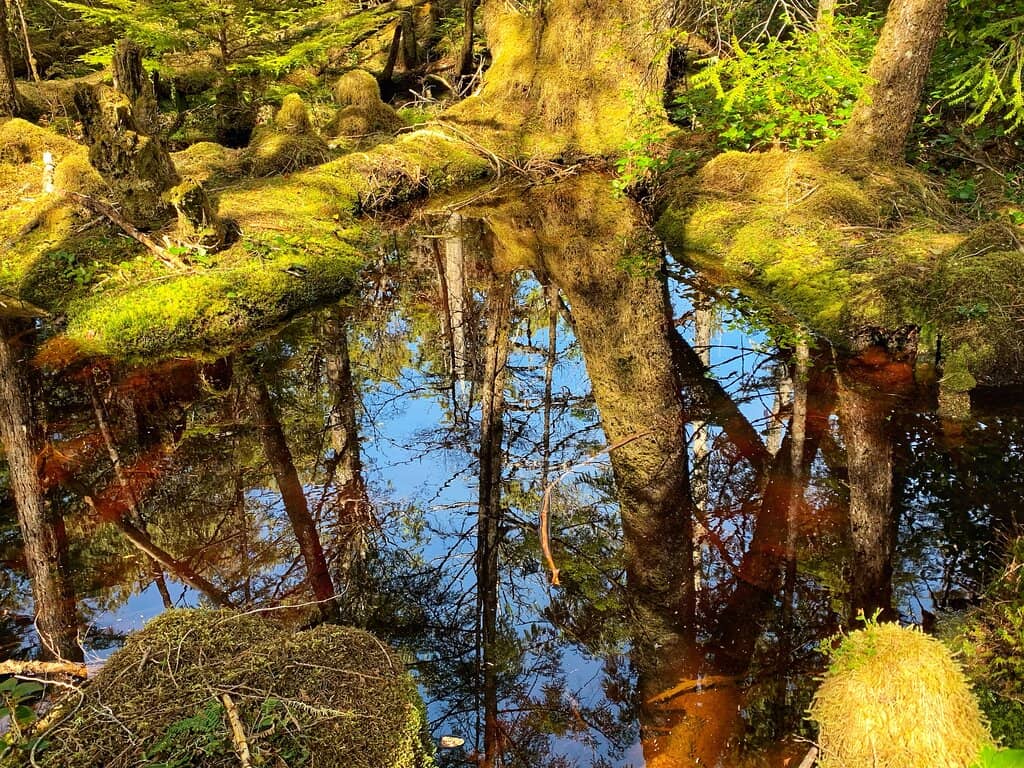Vertical photo