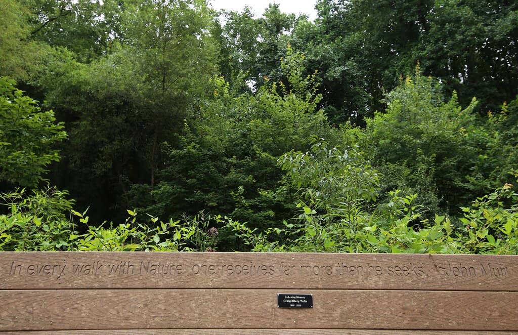 Winter Walk of Lights