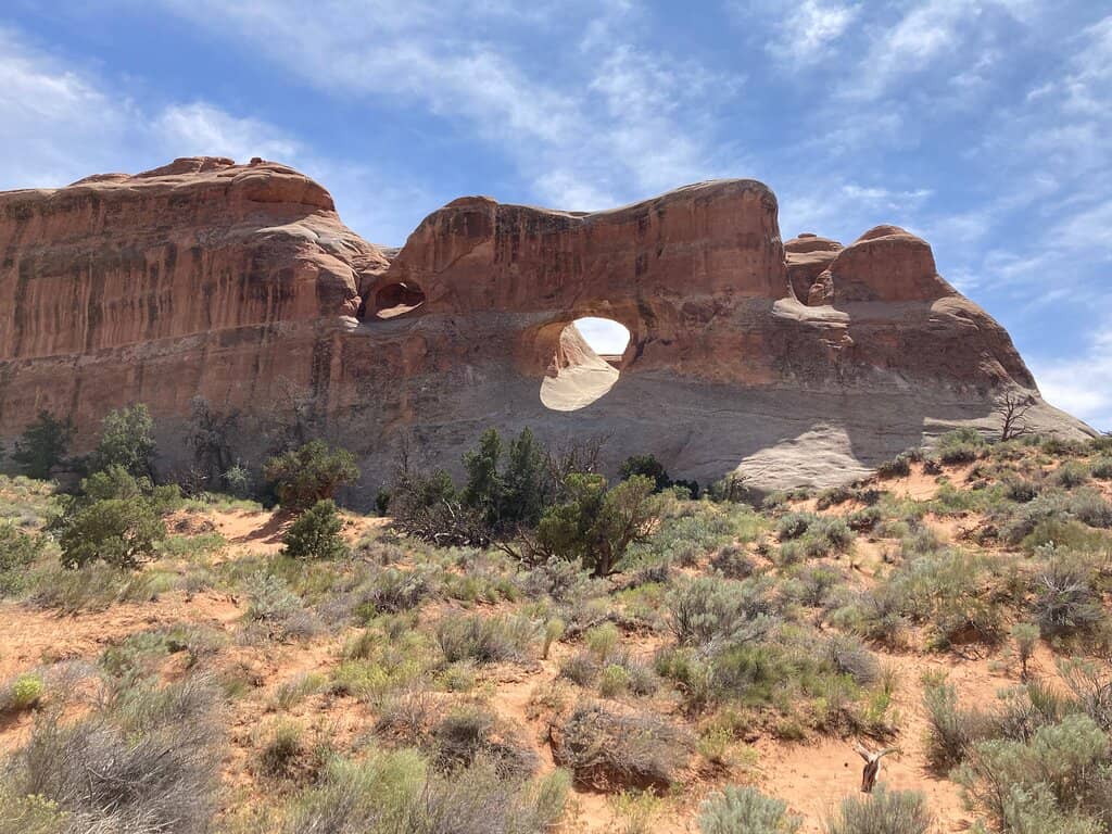 Pine Tree Arch