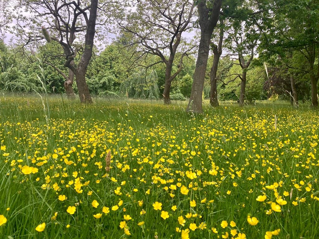 The Faringdon Collection