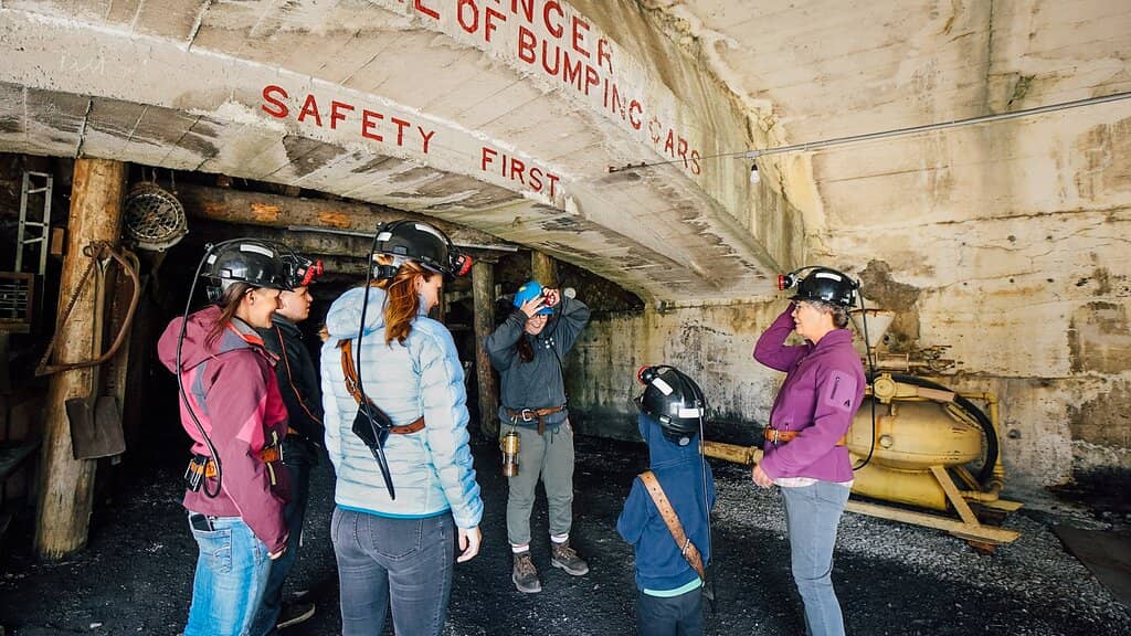 Expert Guided Tours