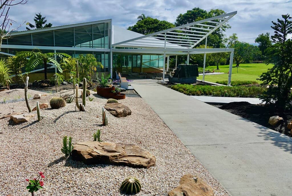 New South Wales Natives Section