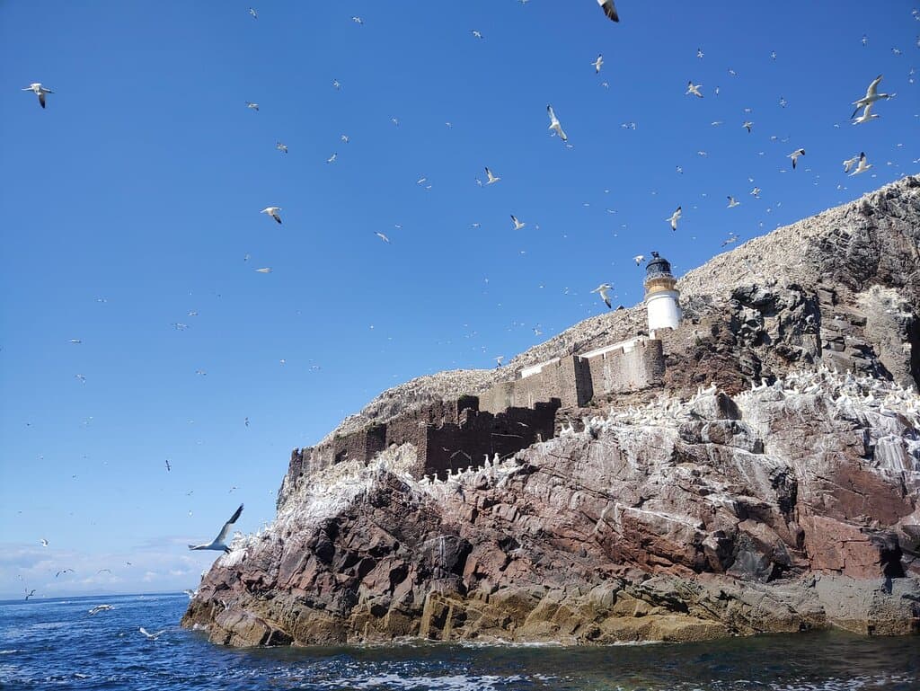 Bass Rock